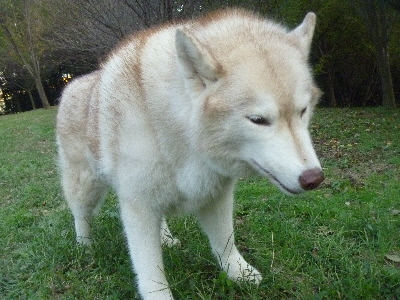 e0121548_1930487.jpg