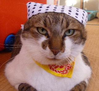 e0121548_20113663.jpg