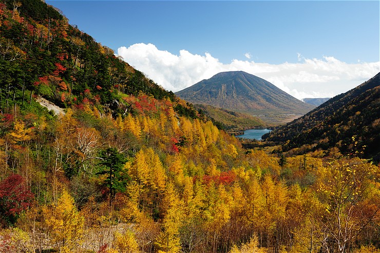 f0222161_1561228.jpg
