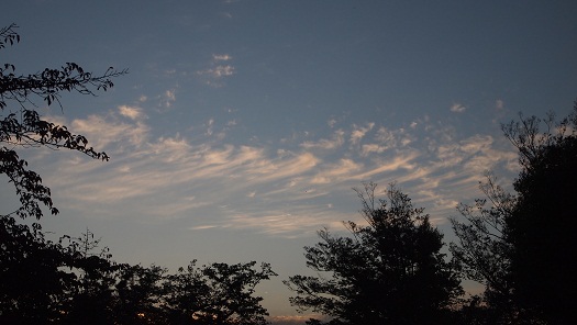 a0141366_2036411.jpg