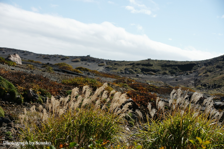 c0106977_10214141.jpg