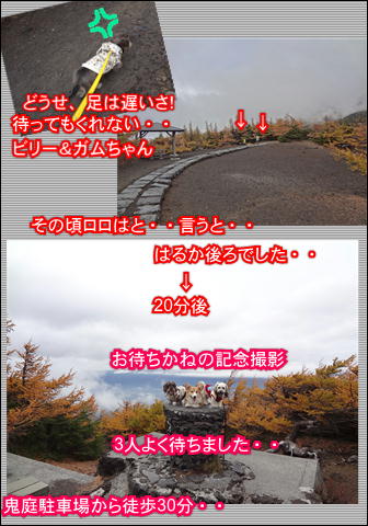 f0234395_1738476.jpg