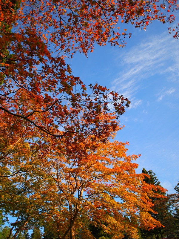 b0138101_22584210.jpg