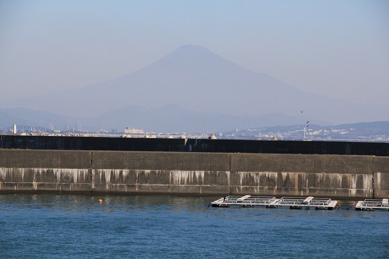 a0188405_19343895.jpg