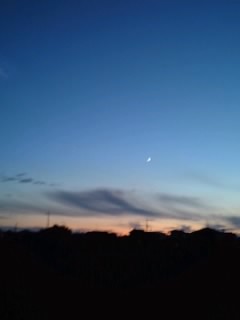 b0085408_1752581.jpg