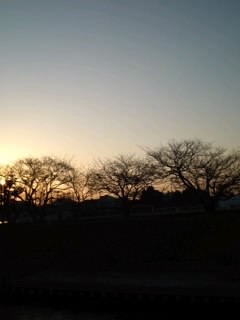 b0085408_17525846.jpg