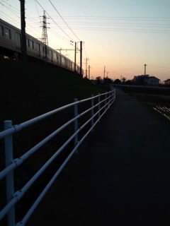 b0085408_17525893.jpg