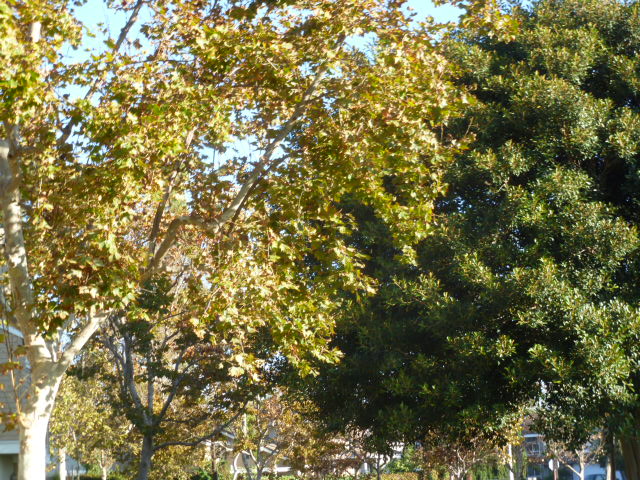 a0144811_031121.jpg
