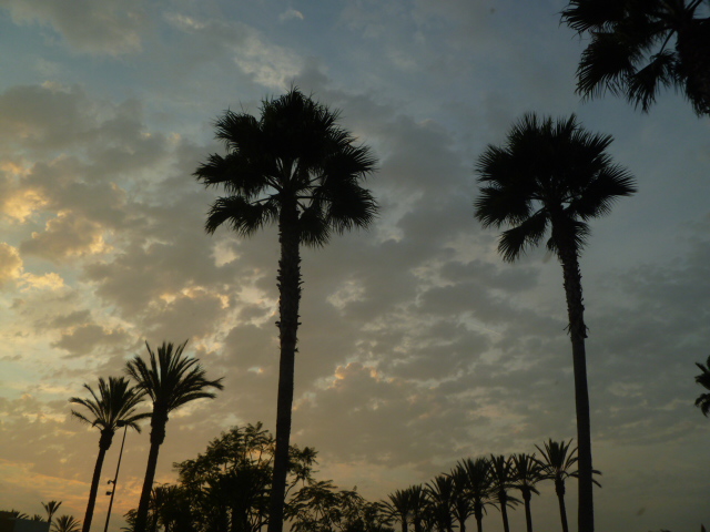 a0144811_032570.jpg