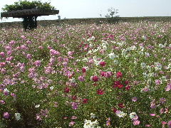 a0157619_22483722.jpg