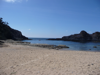 c0013324_12313310.jpg