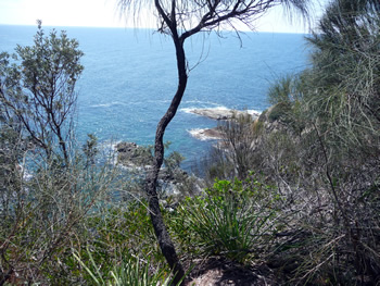 c0013324_1233276.jpg