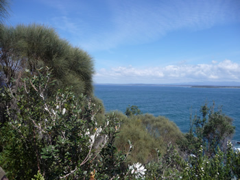 c0013324_12352618.jpg