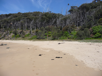 c0013324_12393287.jpg