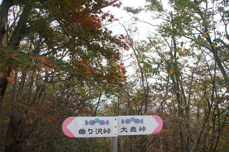 d0156625_6403754.jpg