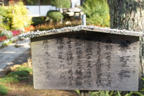 d0156625_6543325.jpg