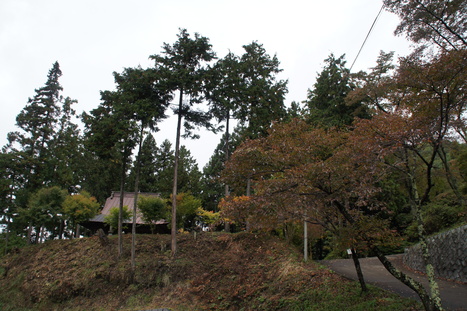 d0156625_672832.jpg