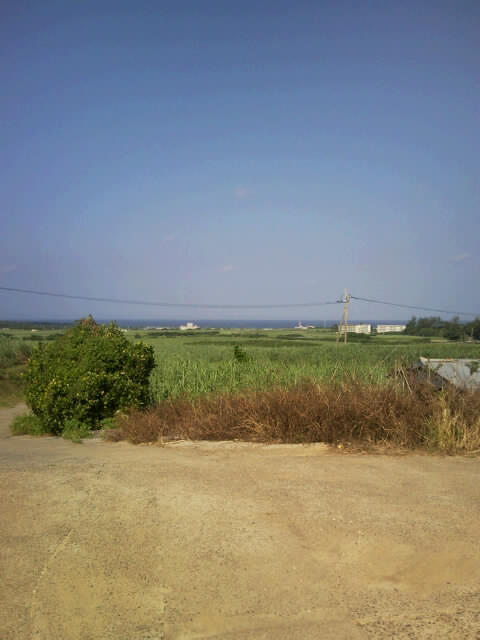 f0197325_8205423.jpg
