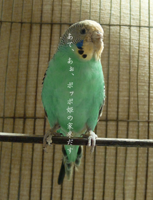 d0042827_1898.jpg