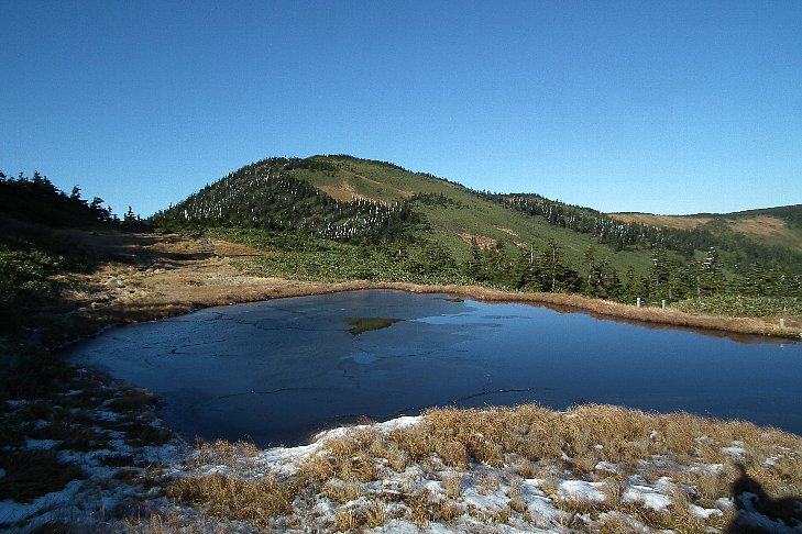 f0118332_114893.jpg