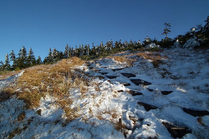 f0118332_124369.jpg