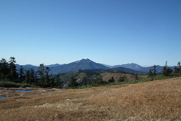 f0118332_15387.jpg