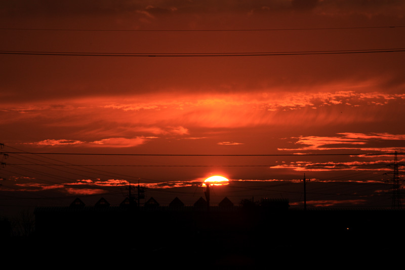 b0177233_433211.jpg