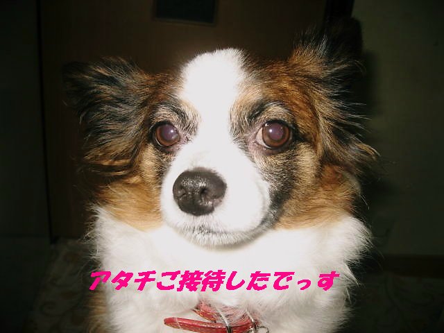 a0149240_9242949.jpg