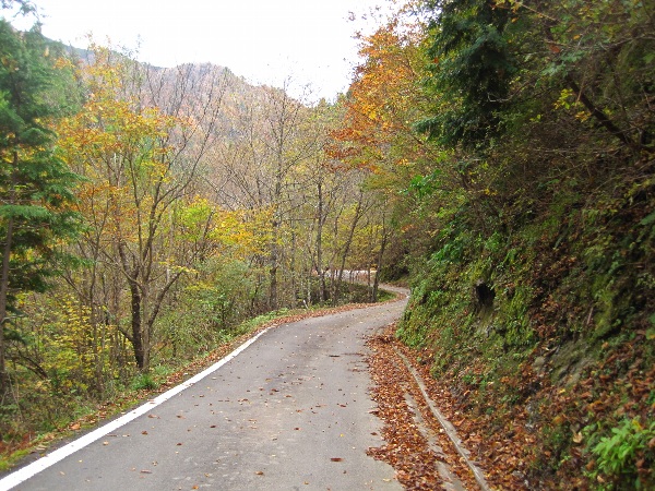 b0149340_21101856.jpg
