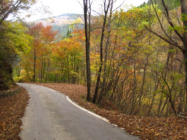 b0149340_21105936.jpg
