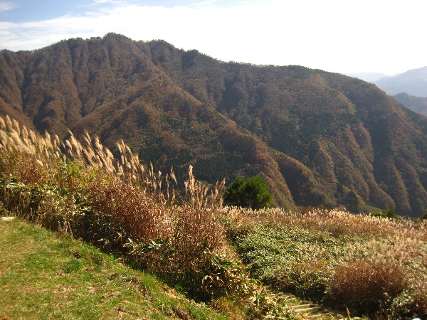 b0149340_21122454.jpg