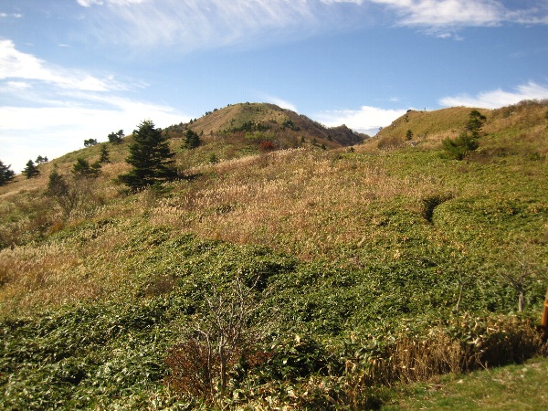 b0149340_21131361.jpg