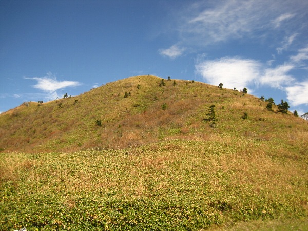 b0149340_21151147.jpg