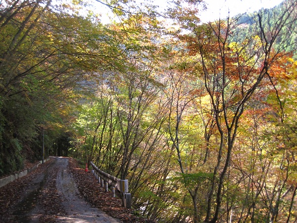 b0149340_2143186.jpg