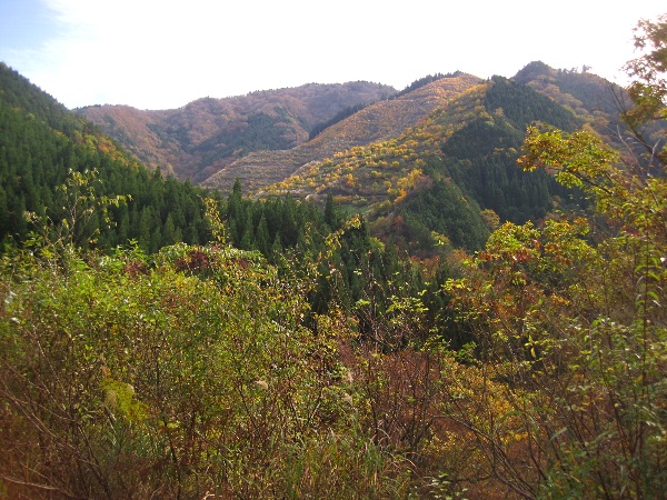 b0149340_2161855.jpg