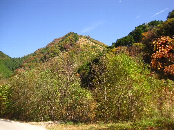 b0149340_216353.jpg