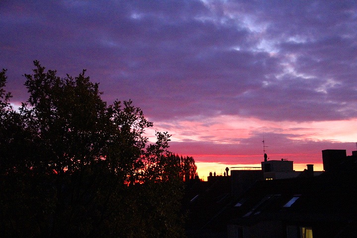 c0153740_1102651.jpg