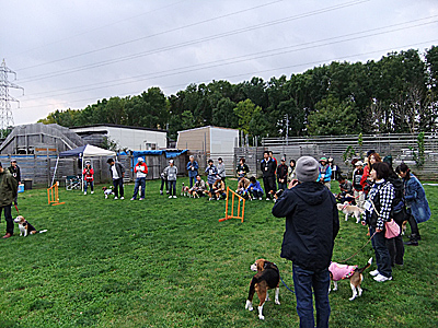 a0042044_23223893.jpg