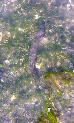 a0175545_143021.jpg