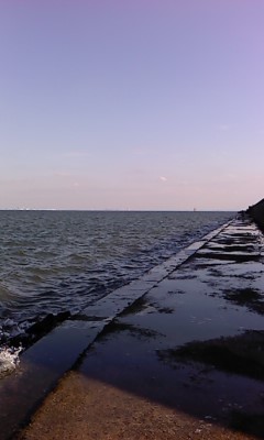 a0175545_1430225.jpg