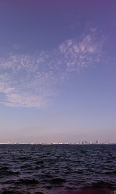 a0175545_1430284.jpg
