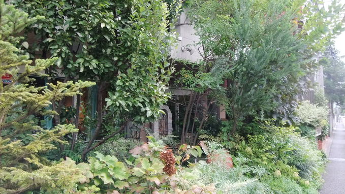 c0071545_221135.jpg