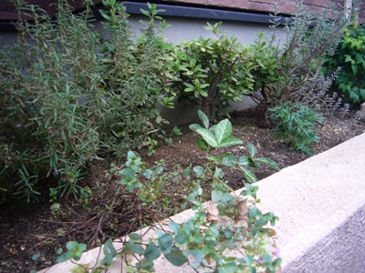 e0100046_21134731.jpg