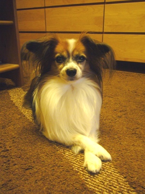 e0100046_212052.jpg
