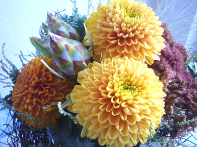 e0100046_213769.jpg