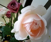 e0150849_9324696.jpg