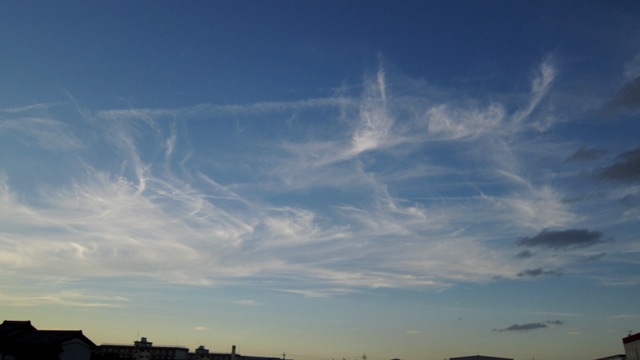 b0173754_10562024.jpg