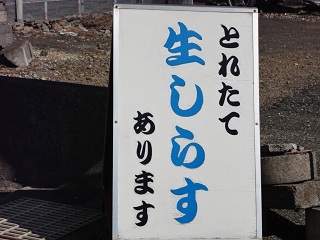 f0046854_233375.jpg