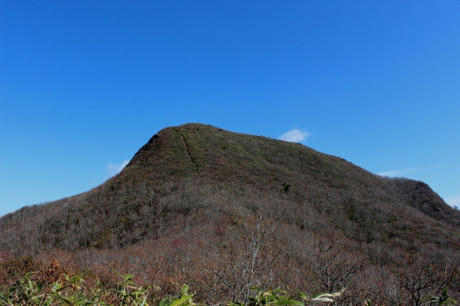 e0239458_2164246.jpg