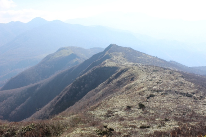 e0239458_2174139.jpg